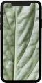 iPhone 11 64GB Schwarz Premium Refurbished