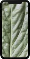 #GOECO Apple iPhone 11 64 GB Wiederaufbereitet Schwarz 24 Mon. Garantie 6,1 Zoll
