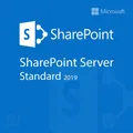 Microsoft Co Microsoft SharePoint Server 2019 Standard DG7GMGF0F4LT