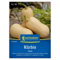 Saatgut, Moschus-Kürbis, Butternut-Kürbis, Kürbis 'Tiana'