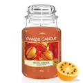 Yankee Candle Duftkerze im Glas (groß) | Spiced Orange | Brenndauer bis zu 150 Stunden