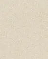 Rasch Tapeten Vliestapete (universell) Beige goldene 10,05 m x 0,53 m Concrete 520248