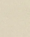 Rasch Vliestapete 520248 Tapete Wischtechnik Glitzer Beige (5,11€/1qm)