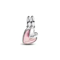 Pandora Bead Charm Splittable Mother & Daughter Dangle 793766C01 Silber