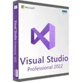 Microsoft Visual Studio Professional 2022