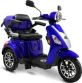 Rolektro Elektromobil Rolektro E-Trike 25 V.3, Lithium Akku, 1000 W, 25 km/h, (mit Topcase)