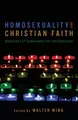 Walter Wink Homosexuality and Christian Faith (Taschenbuch)