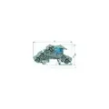 1St. Wieland WKIF 2,5 NT D SL Installationsklemme 56.703.9553.0 WKIF2,5NT-D-SL