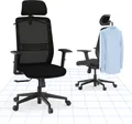 FLEXISPOT Ergonomischer Bürostuhl, Schreibtischstuhl mit Kleiderhaken, Kopfstütze und Lendenwirbelstütze, Lift Armlehne, höhenverstellbarer Sitz für Computerstuhl, Arbeitsstuhl  (schwarz)