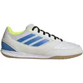 ADIDAS Kinder Fussball-Hallenschuhe TOP SALA COMPETITION II, Hallenböden