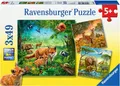Puzzle - Tiere der Erde - 3 x 49 Teile