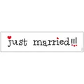 Just Married Nummernschild Karton Autoschild Deko Autoschmuck Hochzeit Hochzeitsauto Hochzeitsdeko