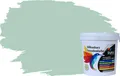 RyFo Colors Silikonharz Fassadenfarbe Lotuseffekt Trend Eukalyptus 1l - bunte Fassadenfarbe, weitere Grün Farbtöne und Größen erhältlich, Deckkraft Klasse 1
