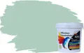 RyFo Colors Fassadenfarbe Silikonharz Fassadenfarbe Grüntöne, 1 L ca. 6 m², Wasserabweisend, diffusionsfähig, schützt vor Schmutz, UV-beständig