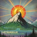 We Still Move On Dance Floors by The Strumbellas