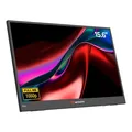 verbatim 15,6" Light Monitor 39,6 cm (15,6 Zoll) schwarz