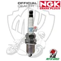 Kerze Spark Plug NGK BKR7EKC