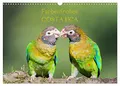 Farbenfrohes Costa Rica (Wandkalender 2026 DIN A3 quer), CALVENDO Monatskalender: Erleben Sie faszinierende Aufnahmen aus Costa Rica! (CALVENDO Natur)