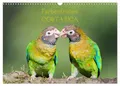Www. Sonja-Jordan. At Jordan | Farbenfrohes Costa Rica (Wandkalender 2026 DIN...