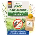 GREEN GUARDIA Power HB-Nematoden gegen Dickmaulrüssler & Engerlinge - 250 Mio. (500m²) -biologische Schädlingsbekämpfung, umweltfreundlich, chemiefrei.Einfach anzuwenden &Sicher für Mensch&Tier