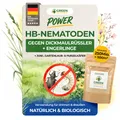 POWER HB-Nematoden gegen Dickmaulrüssler 250Mio für 500 m²,&Engerlinge bekämpfen