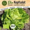 Kopfsalat Samen (BIO) - 125 Samen Gemüsesamen Salatsamen Suzan
