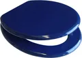 VCM WC Sitz Toilettendeckel Klodeckel Toilettensitz Deckel Brille Klobrille Ascoly Holzoptik mit stabilem Holzkern Blau