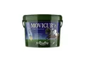 St. Hippolyt Bindegewebskur Movicur 10 kg