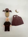 LEGO The Hobbit Figur Radagast the Brown aus (79014)