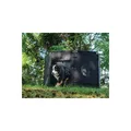 Camp4 Hundefreigehege mit Netz-Fenster Camping Outdoor faltbar schwarz 1748383
