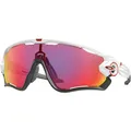 OAKLEY Herren Brille JAWBREAKER