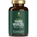 YAMSWURZEL WILD YAM Kapseln