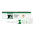 Actea Oto Ohrentropfen für Hunde und Katzen Inhalt: 15 ml