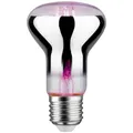 Paulmann LED-Pflanzenlampe Wachstum 230 V E27 6.5 W Bernstein 1 St.