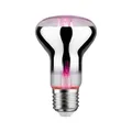 Paulmann LED Grow Green Pflanzenlampe Ø 63 mm, 6,5W, 200 lm, E27, 1300 K