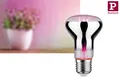 Paulmann Grow Green Edition LED Reflektor Filament E27 230V  R63 6,5W 1300K