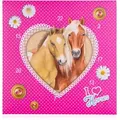 Accentra GmbH Adventskalender I LOVE HORSES in würfelförmiger Box