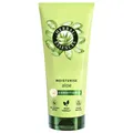 Odżywka do włosów Herbal Essences Moisture Aloe 250 ml