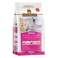 WOLFSBLUT – VetLine Hypoallergenic | Diät Trockenfutter für ausgewachsene Hunde mit Futterunverträglichkeiten. Getreidefreies Alleinfutter im Beutel | 2kg Pferd mit Süßkartoffeln
