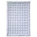 billerbeck Sommerbettdecke Wash Cotton, Füllung: 100% Baumwolle, Bezug: Baumwolle, Hautsympathisch und feuchtigkeitsregulierend weiß 155 cm x 220 cm