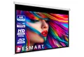 ESMART ESMART Germany Rollo Leinwand Rolloleinwand (Economy EXR)