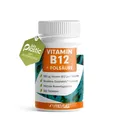 ProFuel VITAMIN B12 + FOLSÄURE | 365 Tabletten | Methylcobalamin B12