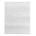 Lichtblick Plissee, Klemmfix, 90x220 cm, weiß Pflanze - weiss