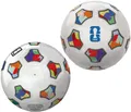 Fussball FIFA World Cup 2026 WM Ball 300g Gr. 5 offiziell lizensierter Ball