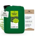Konfitee Koniferen Dünger Flora Boost 5000ml I Für bis zu 1000L Gießwasser I Dünger für Koniferen, Tannen & Thujen geeignet I Flüssiger Blatt- & Wurzeldünger I 100% natürlicher Pflanzendünger