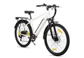 HILAND E-Bike 26" Elektro-Citybike 250W 10,4Ah mit Gepäckträger für Pendeln & Touren, Heckmotor, 374,4 Wh