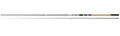 Daiwa Black Widow Float 10-45g Floatrute 2-teilig & 3-teilig (3,30m 10-45g)