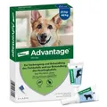 Advantage Spot-On für Hunde von 25 bis 40 kg Körpergewicht