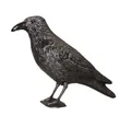 Swissinno Vogel-Schreck SWISSINNO Abwehrmittel Taubenabwehr "Rabe"