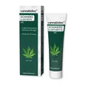 Cannabidoc Schmerz&arthritis Gel 50 ml